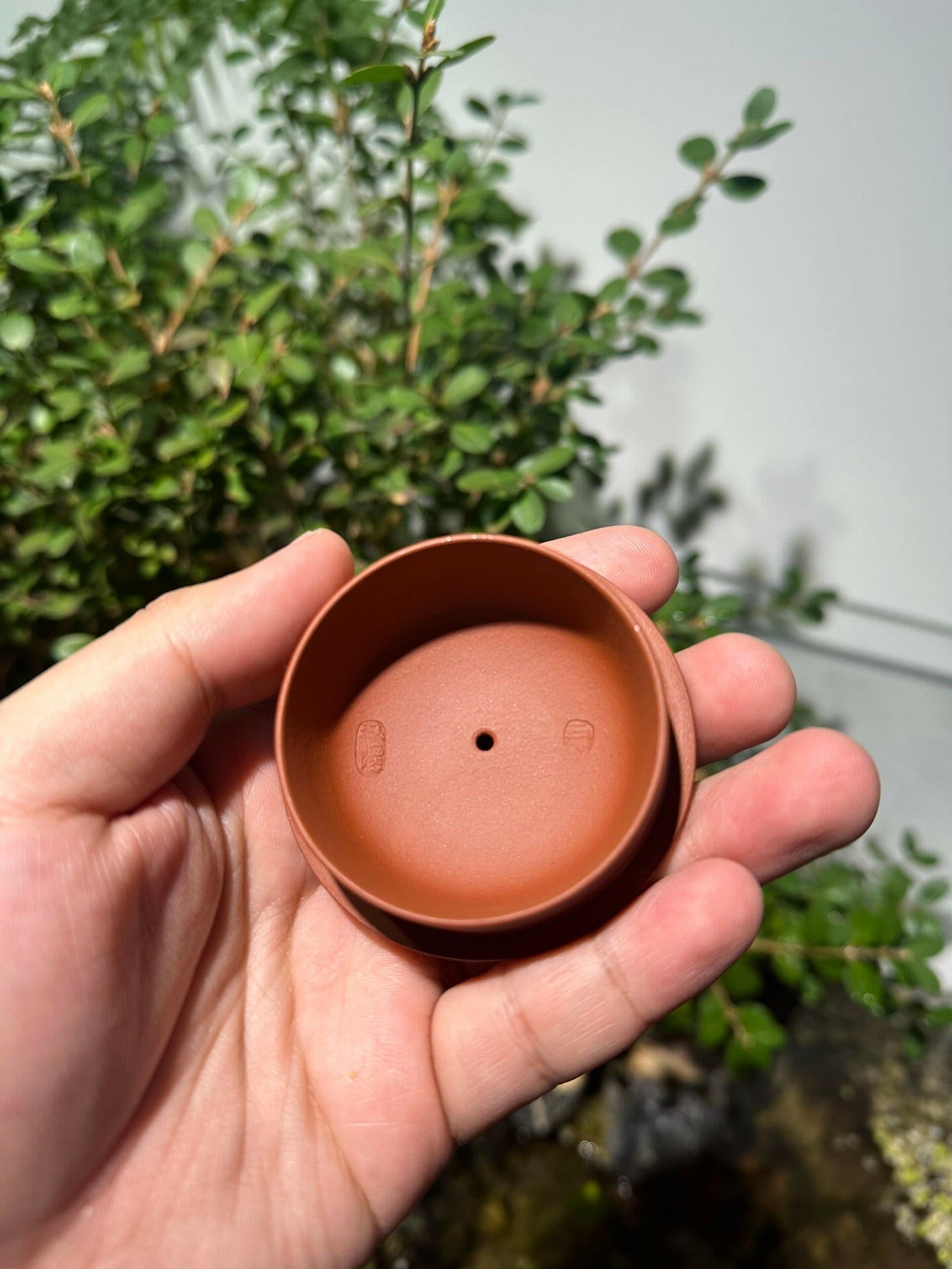 Zhuo Lian 150cc - Yixing Handmade Teapot 江苏宜兴