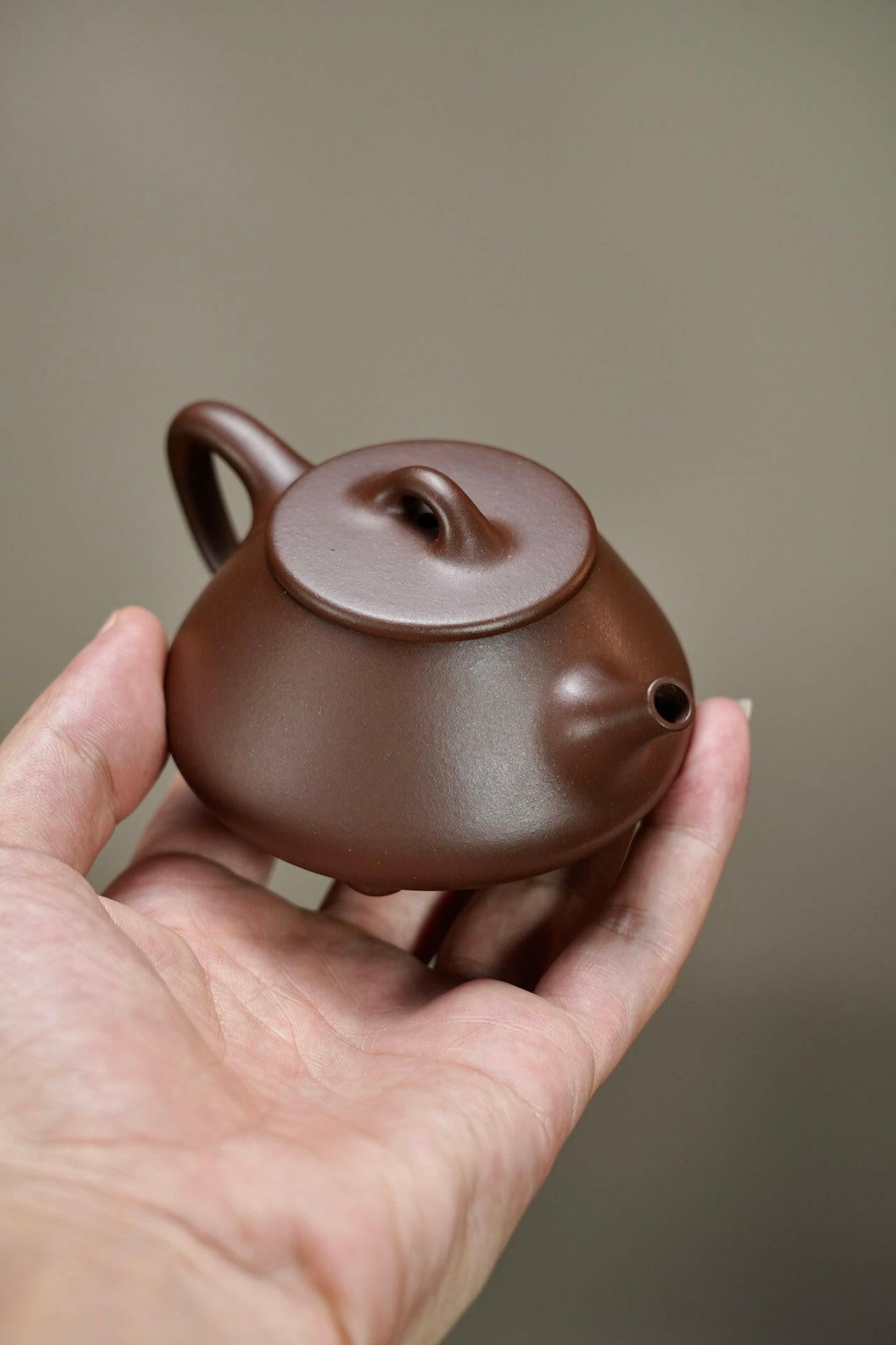 Ping Gai Shi Piao 130cc - Yixing Handmade Teapot 江苏宜兴