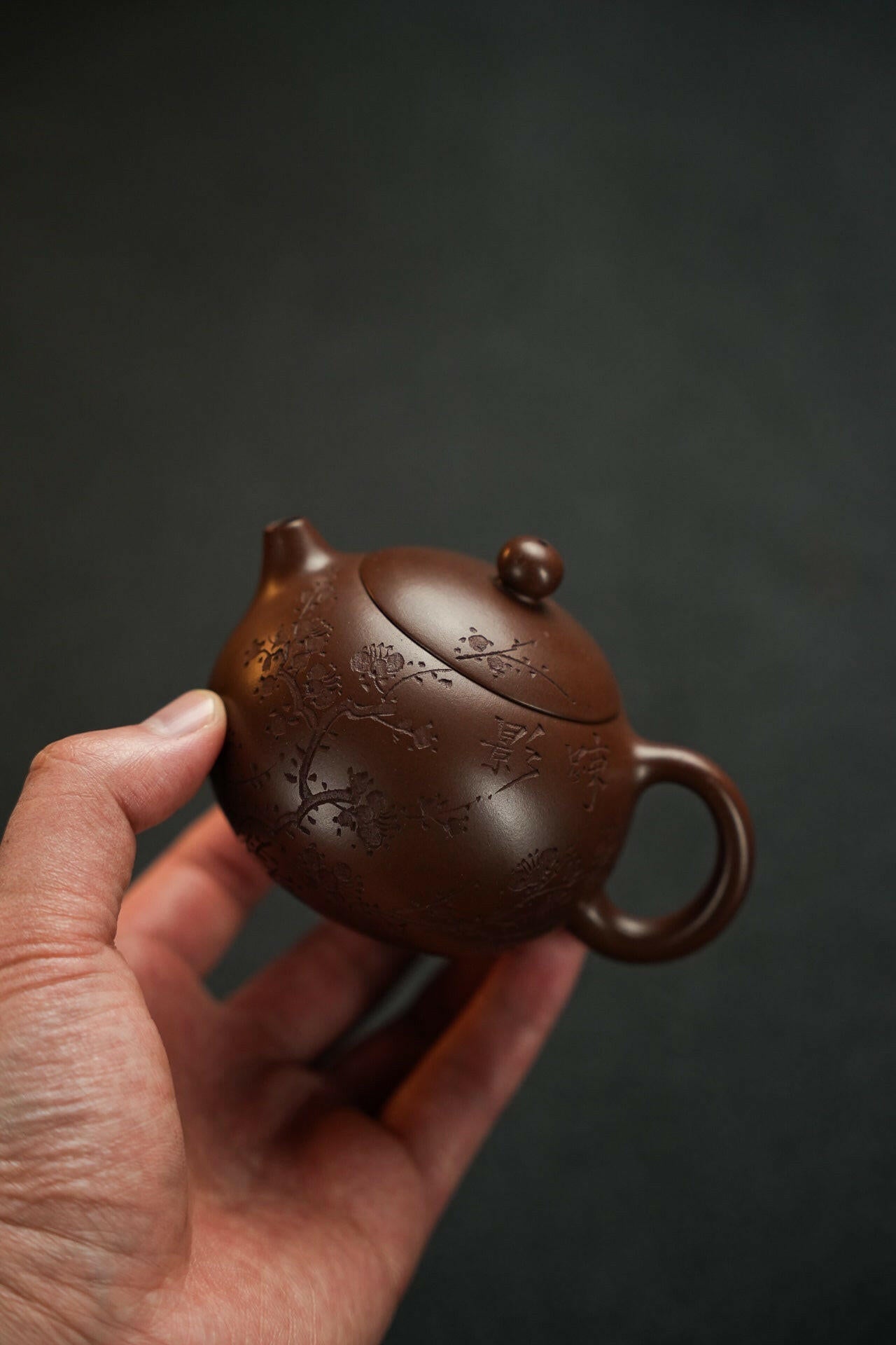 Xi Shi Ru 180cc - Yixing Handmade Teapot 江苏宜兴