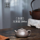 Han Xue 200cc - Yixing Handmade Teapot 江苏宜兴