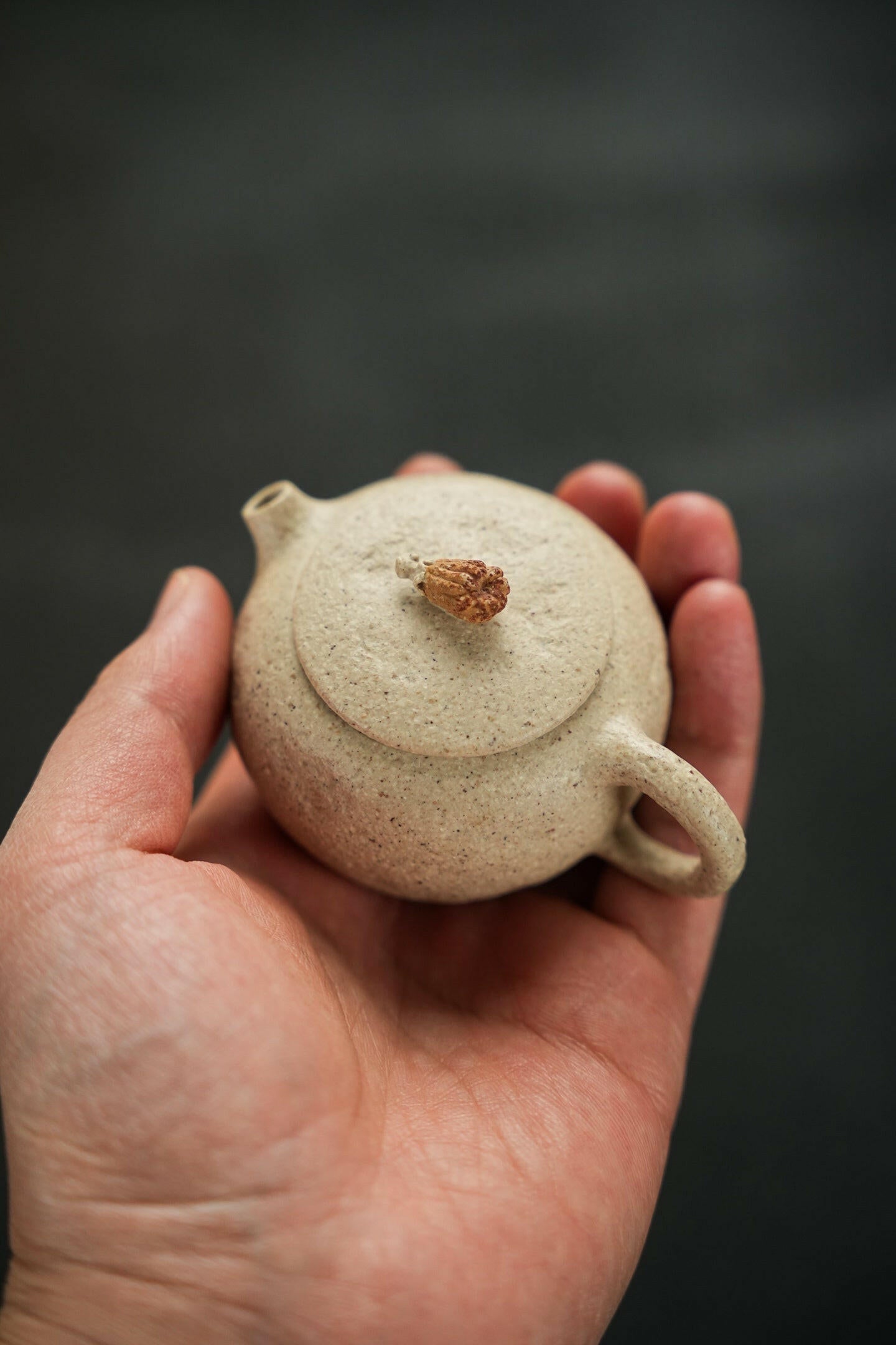 Fo Shou 100cc - Yixing Handmade Teapot 江苏宜兴
