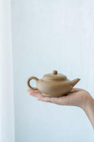 Shui Ping 190cc - Yixing Handmade Teapot 江苏宜兴