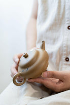 Shui Ping 190cc - Yixing Handmade Teapot 江苏宜兴