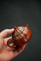 Ling Long 150cc - Yixing Handmade Teapot 江苏宜兴