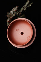 Xi Shi 200cc - Yixing Handmade Teapot 江苏宜兴