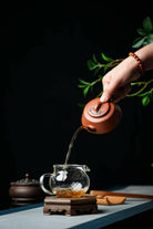 Ping Bu Qing Yun - Yixing Handmade Teapot 江苏宜兴