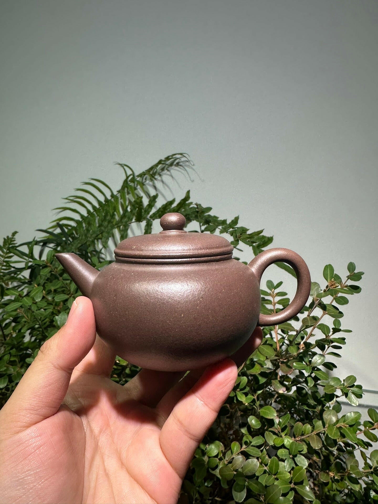 Pao Zun Shui Ping 220cc - Yixing Handmade Teapot 江苏宜兴
