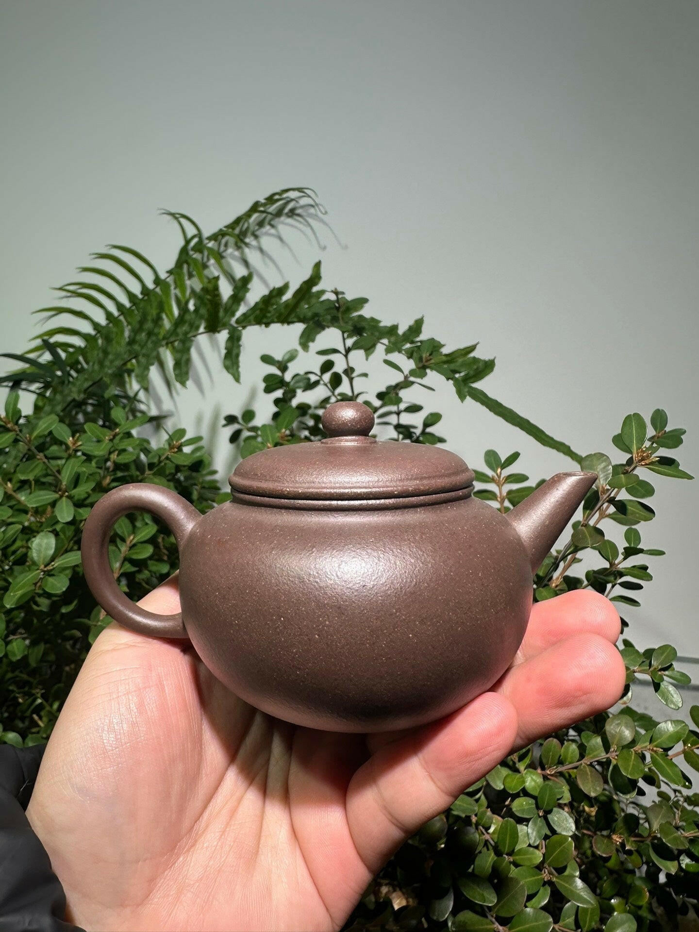 Pao Zun Shui Ping 220cc - Yixing Handmade Teapot 江苏宜兴