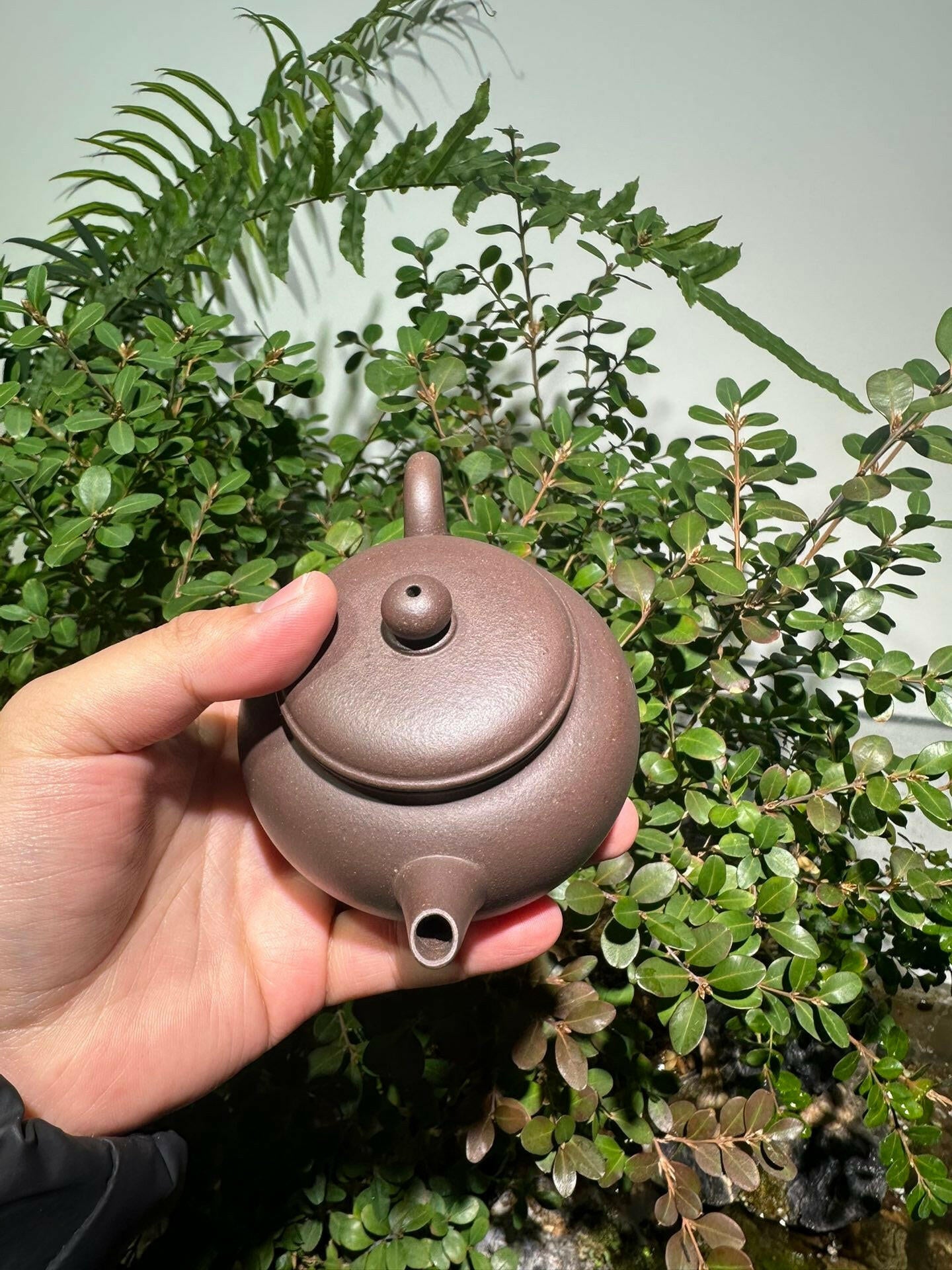 Pao Zun Shui Ping 220cc - Yixing Handmade Teapot 江苏宜兴