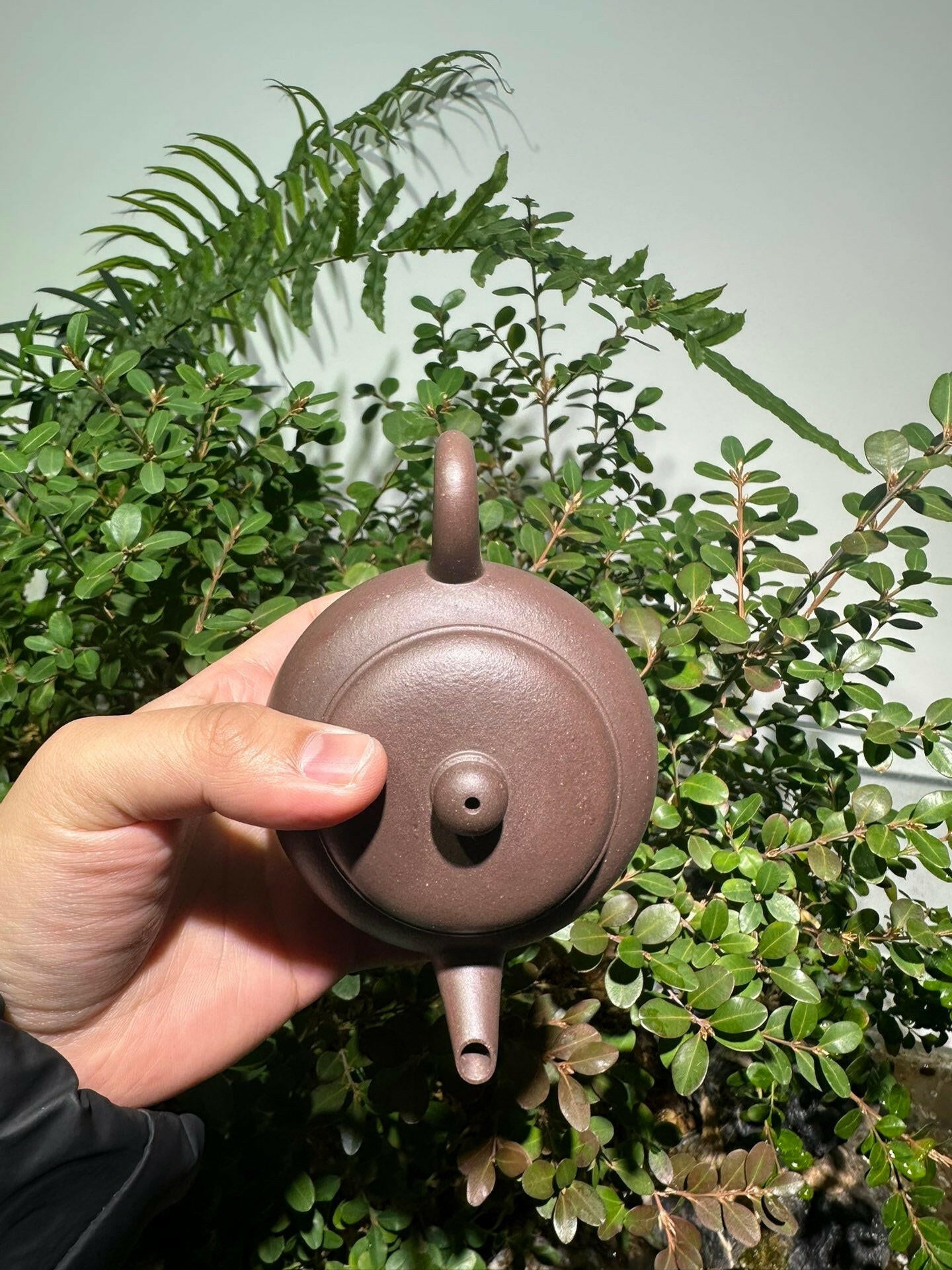 Pao Zun Shui Ping 220cc - Yixing Handmade Teapot 江苏宜兴
