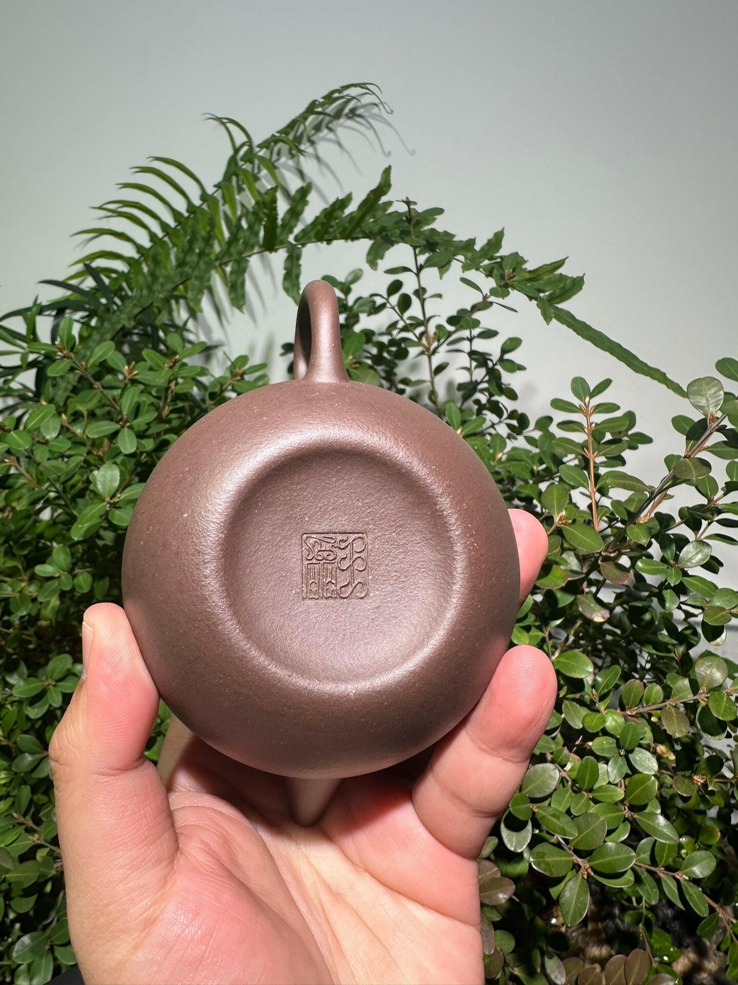 Pao Zun Shui Ping 220cc - Yixing Handmade Teapot 江苏宜兴