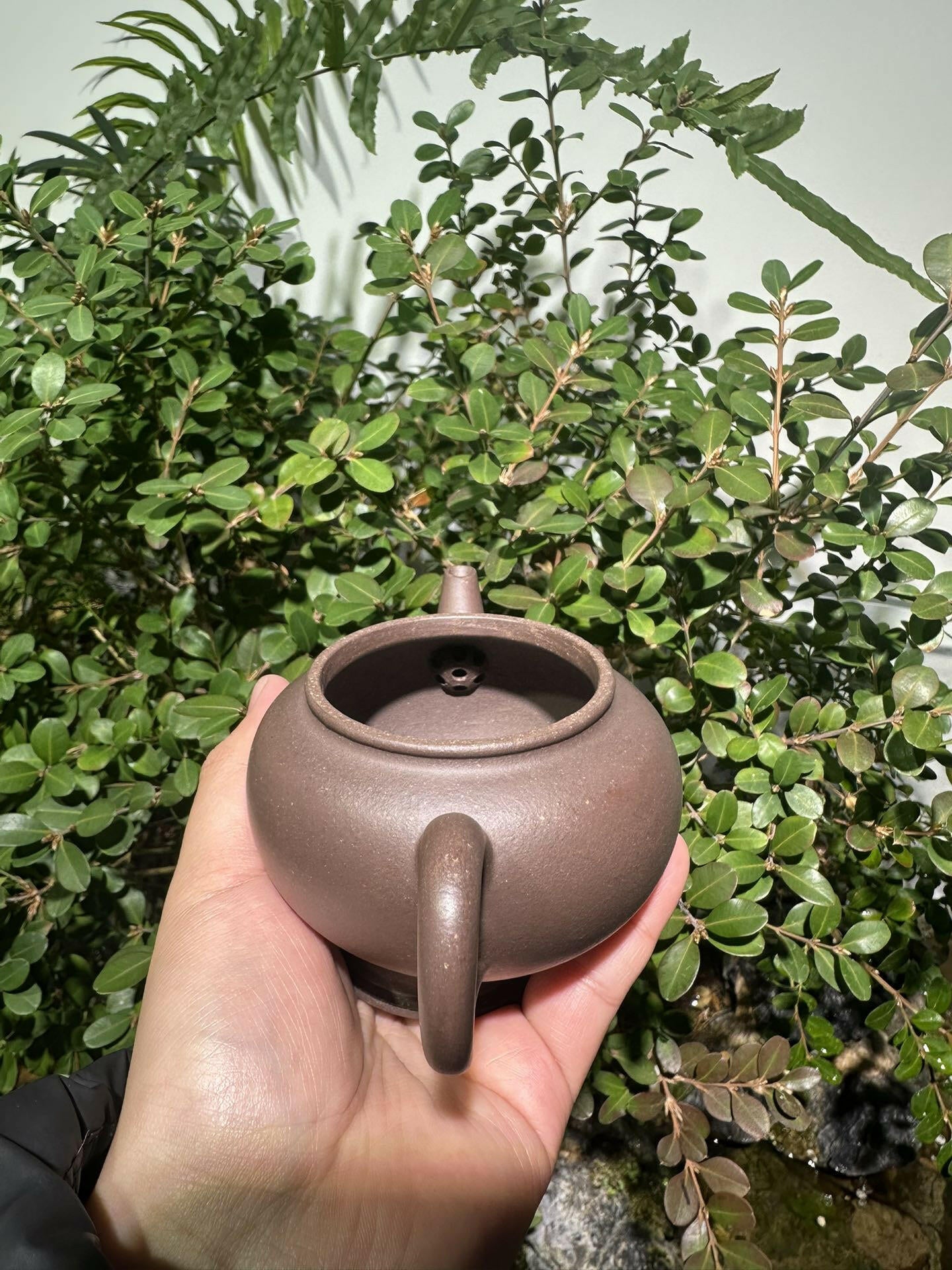 Pao Zun Shui Ping 220cc - Yixing Handmade Teapot 江苏宜兴