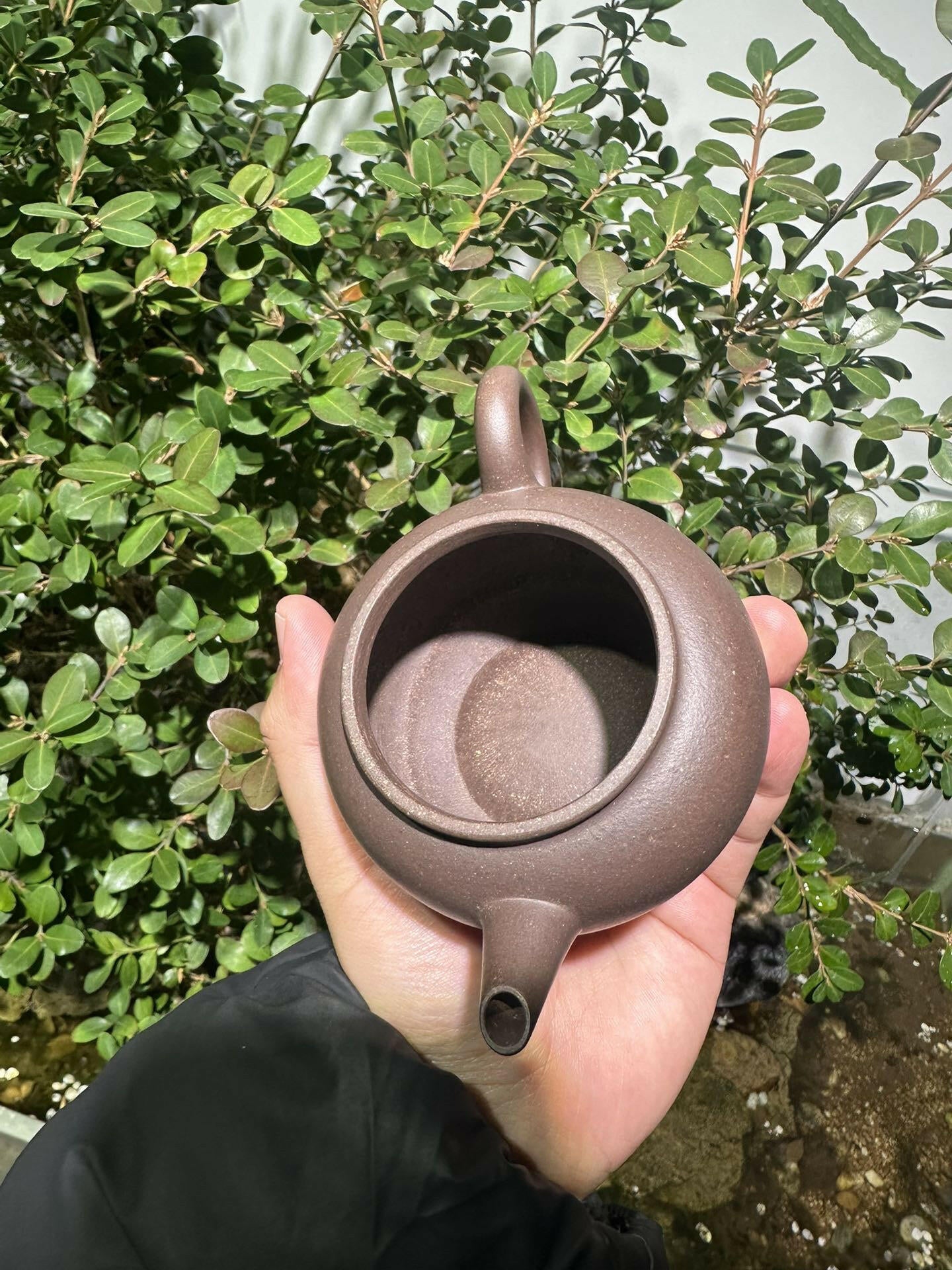 Pao Zun Shui Ping 220cc - Yixing Handmade Teapot 江苏宜兴