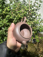 Pao Zun Shui Ping 220cc - Yixing Handmade Teapot 江苏宜兴