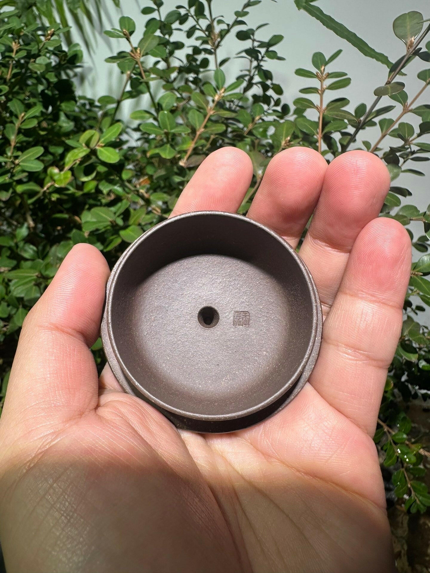 Pao Zun Shui Ping 220cc - Yixing Handmade Teapot 江苏宜兴