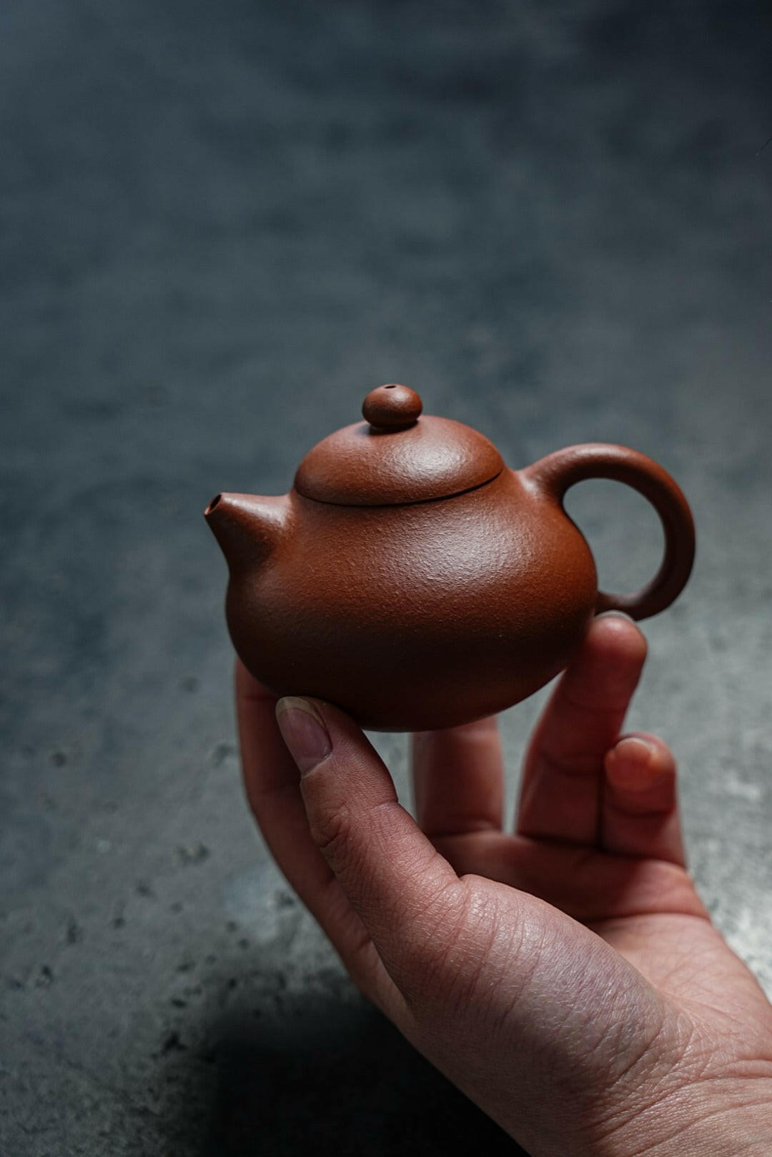 Wen Dan 110cc - Yixing Handmade Teapot 江苏宜兴