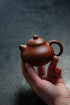 Wen Dan 110cc - Yixing Handmade Teapot 江苏宜兴