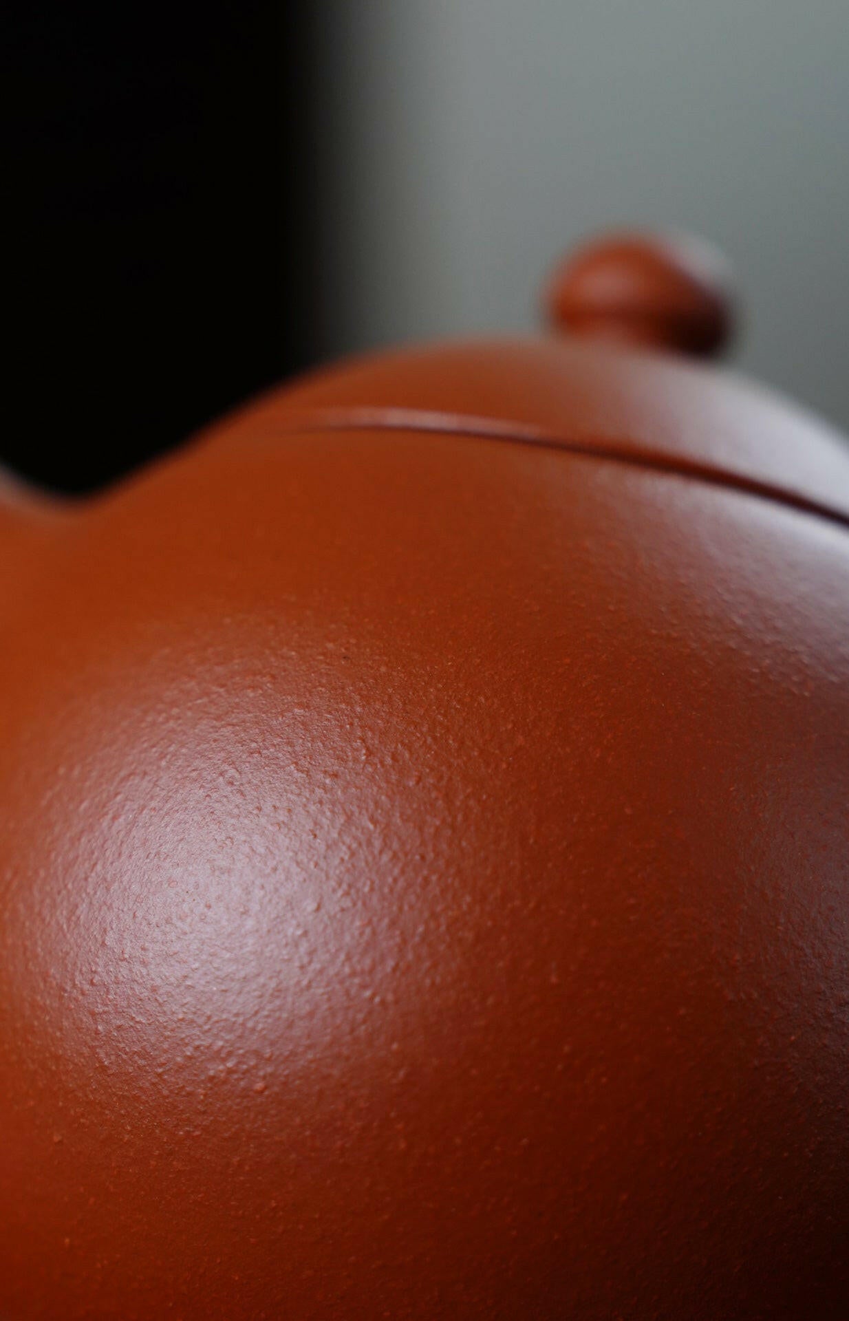 Long Dan 175cc - Yixing Handmade Teapot 江苏宜兴