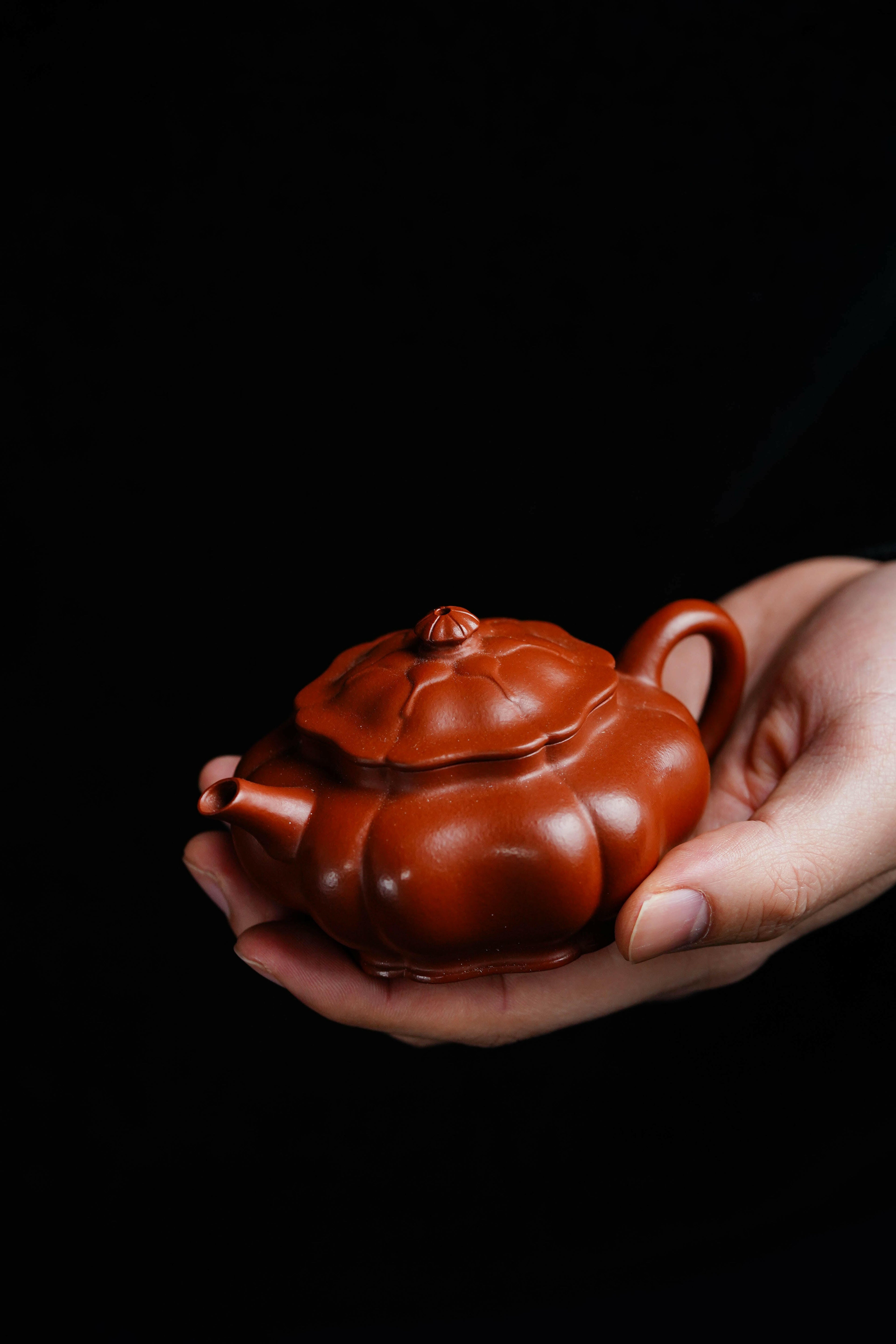 Ling Hua 120cc - Yixing Handmade Teapot 江苏宜兴
