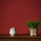 Meng Die - Yixing Handmade Gaiwan 江苏宜兴