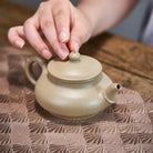 Zhu Jie Pan Hu 170cc - Yixing Handmade Teapot 江苏宜兴