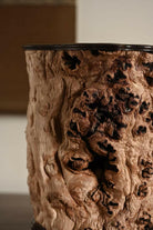 Zhi Gu - Wood Sculpture zycschina