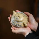 Na Piao 170cc - Yixing Handmade Teapot 江苏宜兴