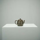 Guan Lan 95cc - Yixing Handmade Teapot 江苏宜兴