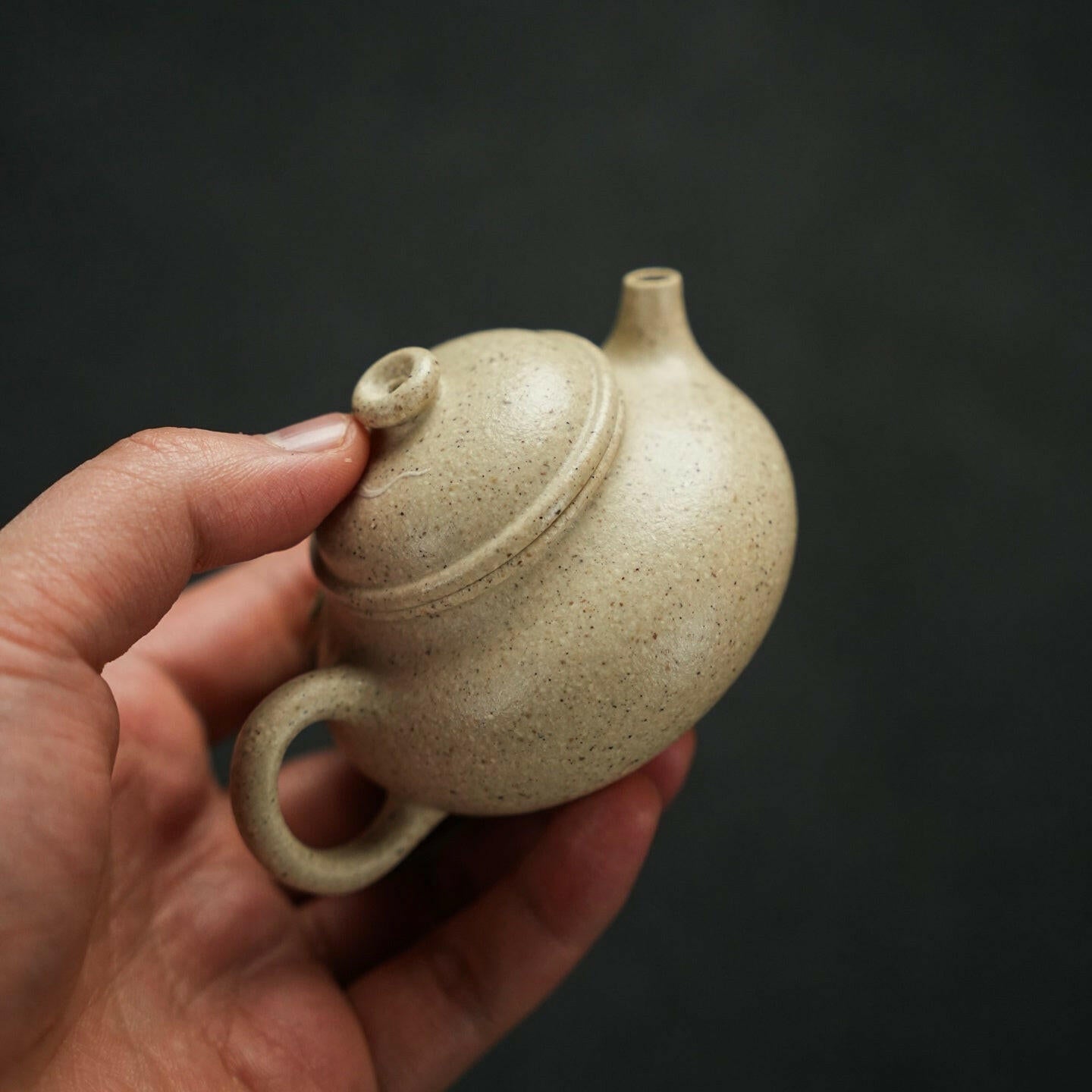 Fu Lu Rong Tian 100cc - Yixing Handmade Teapot 江苏宜兴