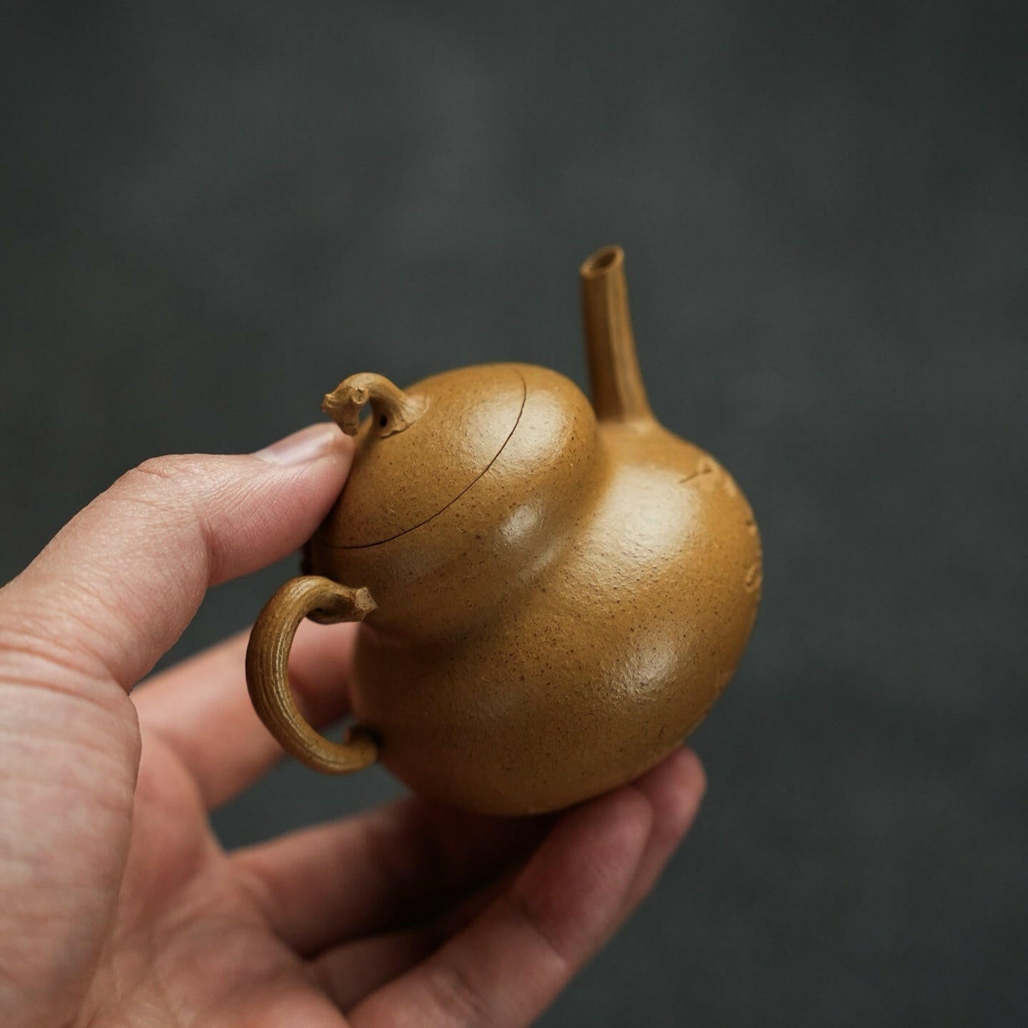 Fu Lu 130cc - Yixing Handmade Teapot 江苏宜兴