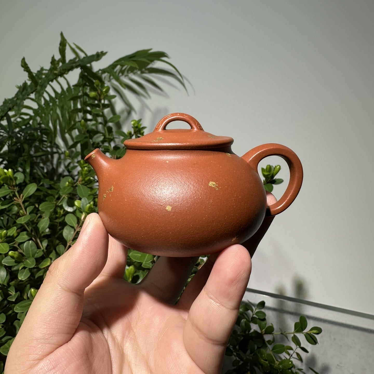 An Lai 150cc - Yixing Handmade Teapot 江苏宜兴
