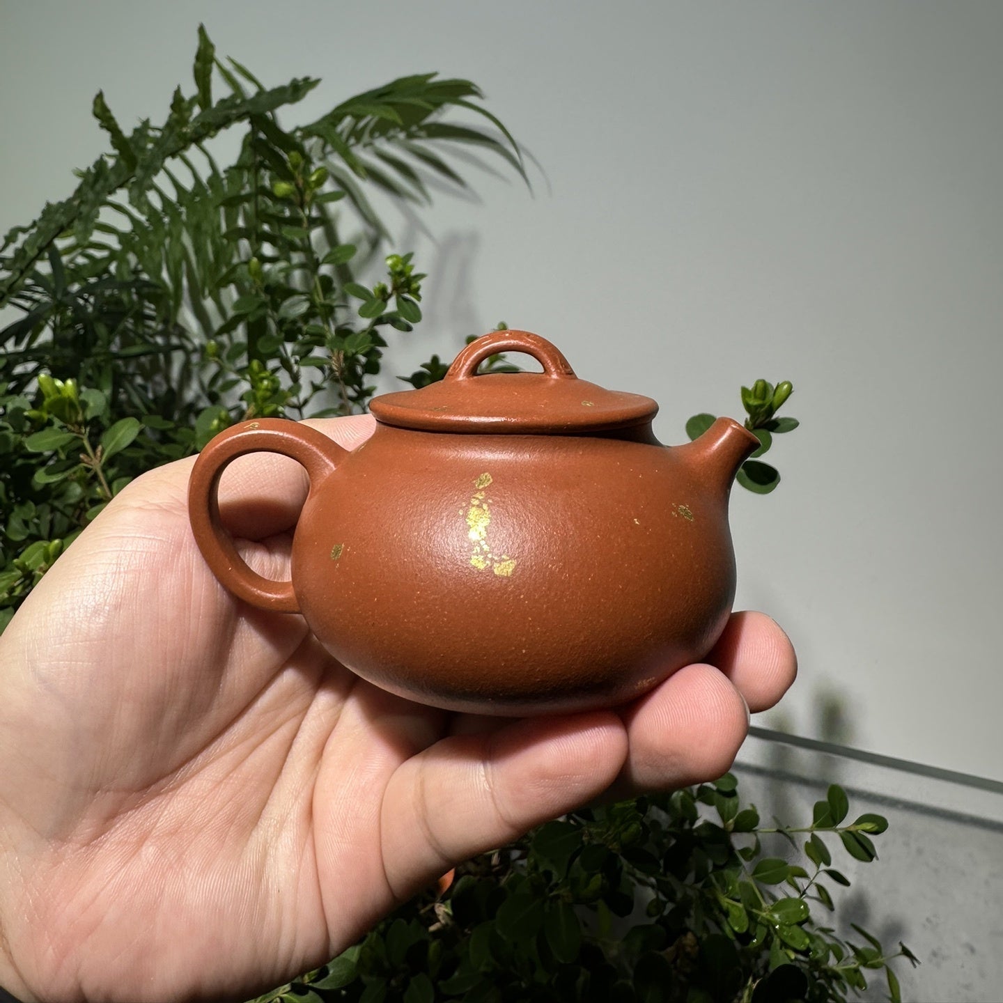 An Lai 150cc - Yixing Handmade Teapot 江苏宜兴