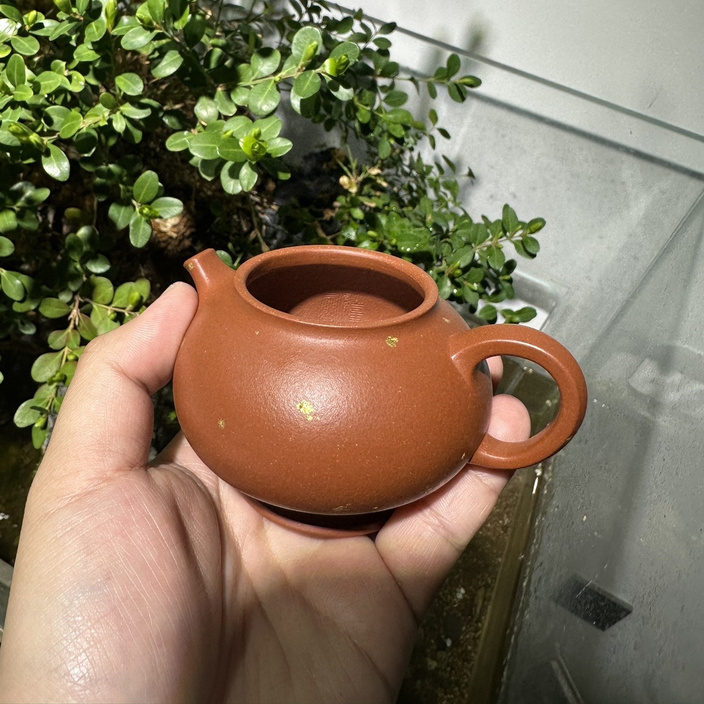 An Lai 150cc - Yixing Handmade Teapot 江苏宜兴