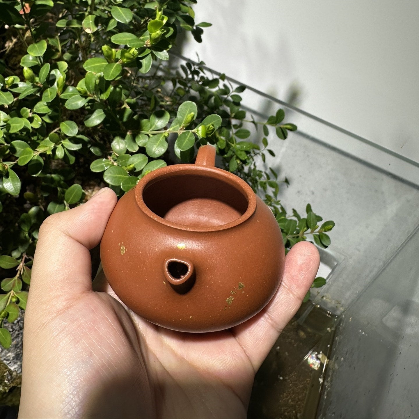 An Lai 150cc - Yixing Handmade Teapot 江苏宜兴