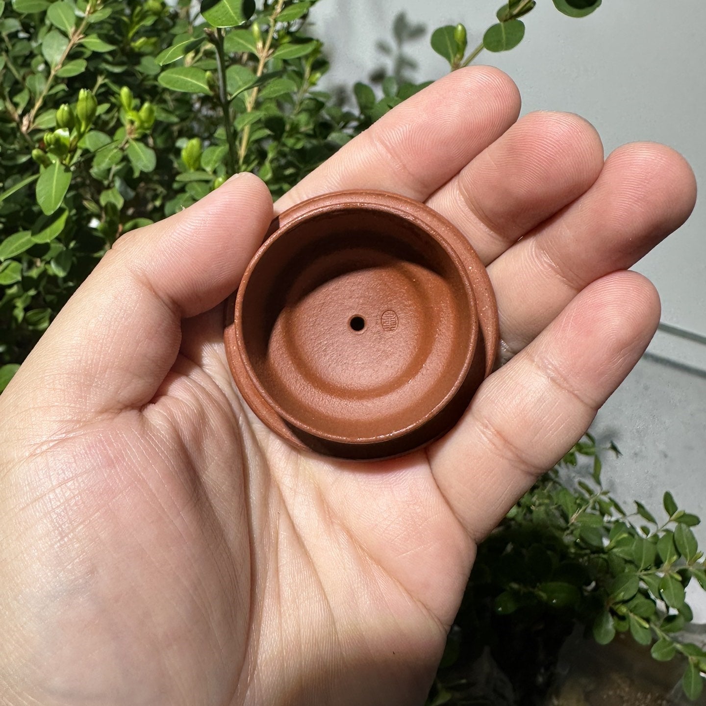 An Lai 150cc - Yixing Handmade Teapot 江苏宜兴