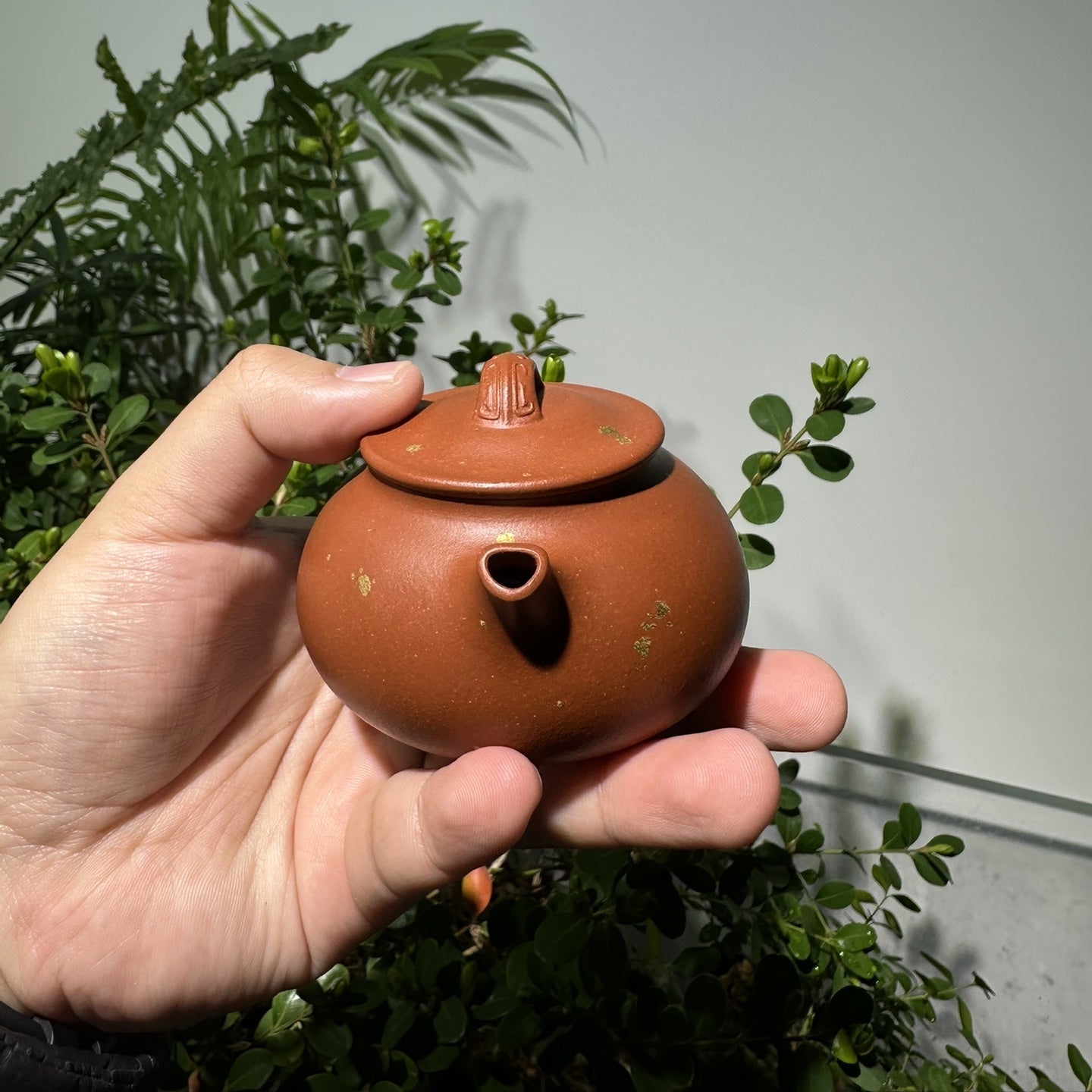 An Lai 150cc - Yixing Handmade Teapot 江苏宜兴
