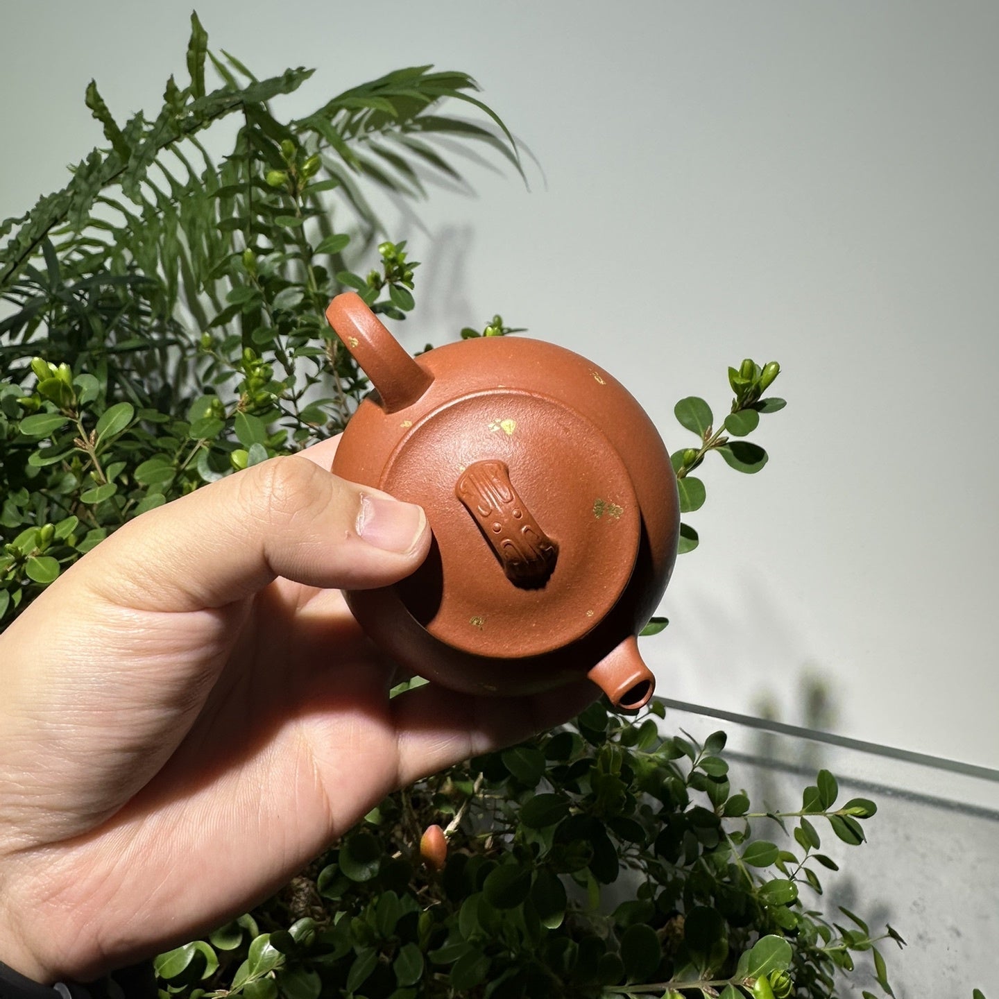 An Lai 150cc - Yixing Handmade Teapot 江苏宜兴