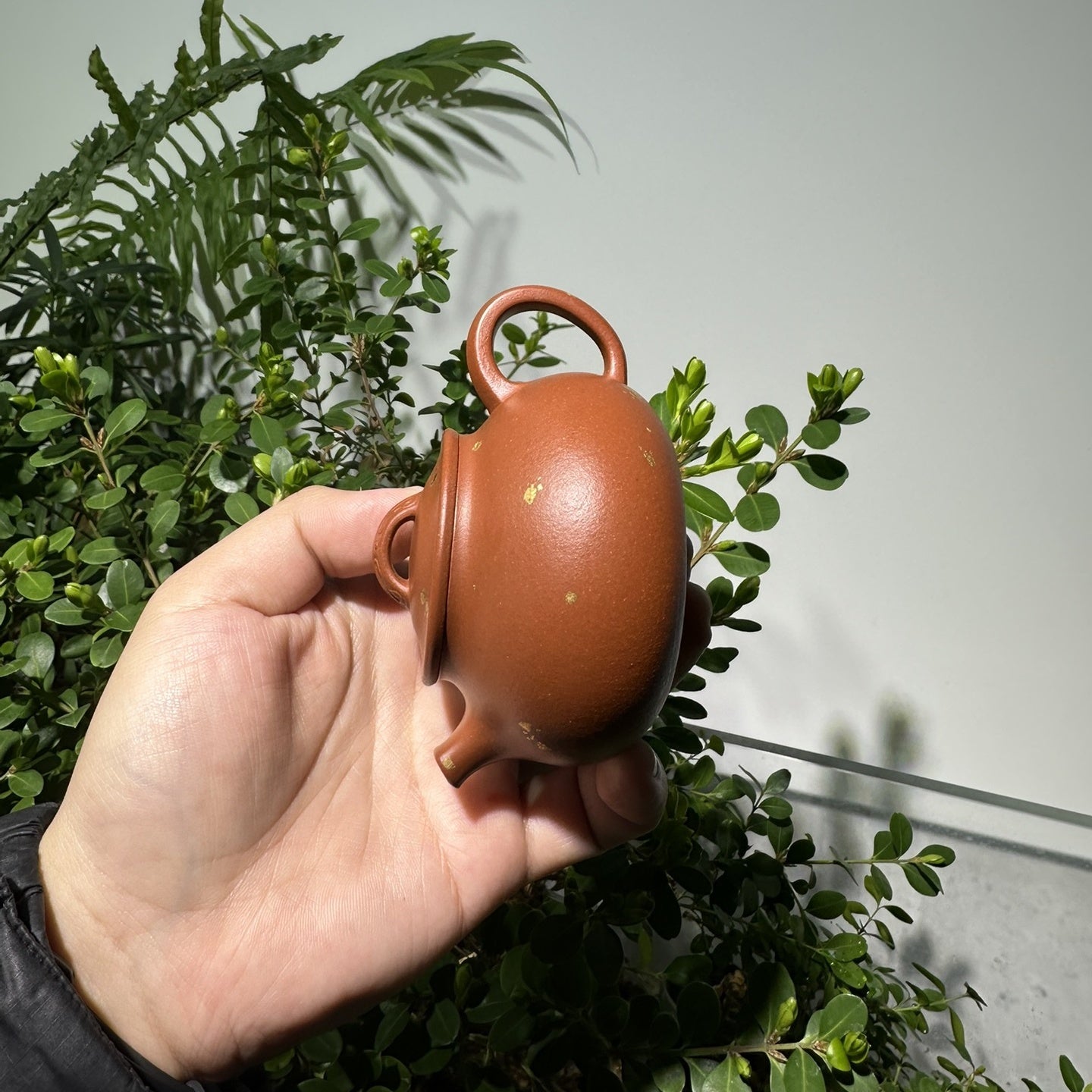 An Lai 150cc - Yixing Handmade Teapot 江苏宜兴