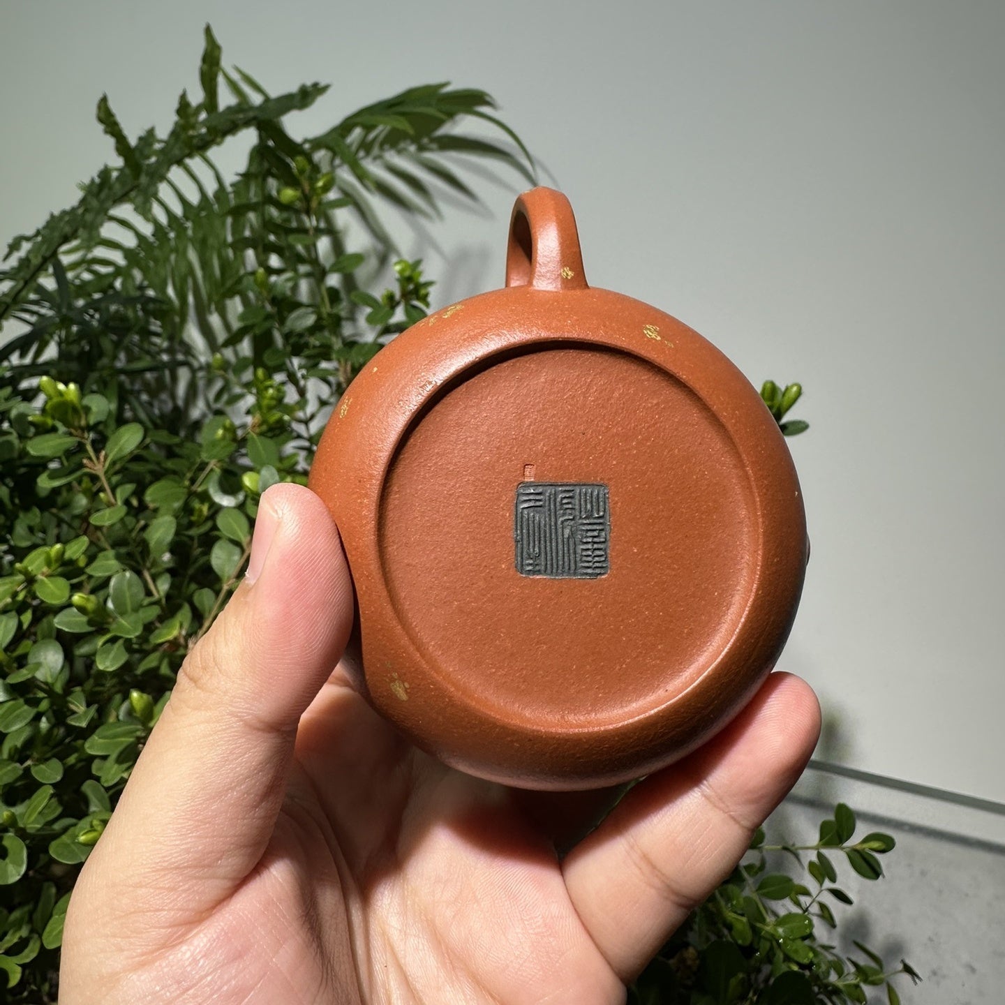 An Lai 150cc - Yixing Handmade Teapot 江苏宜兴