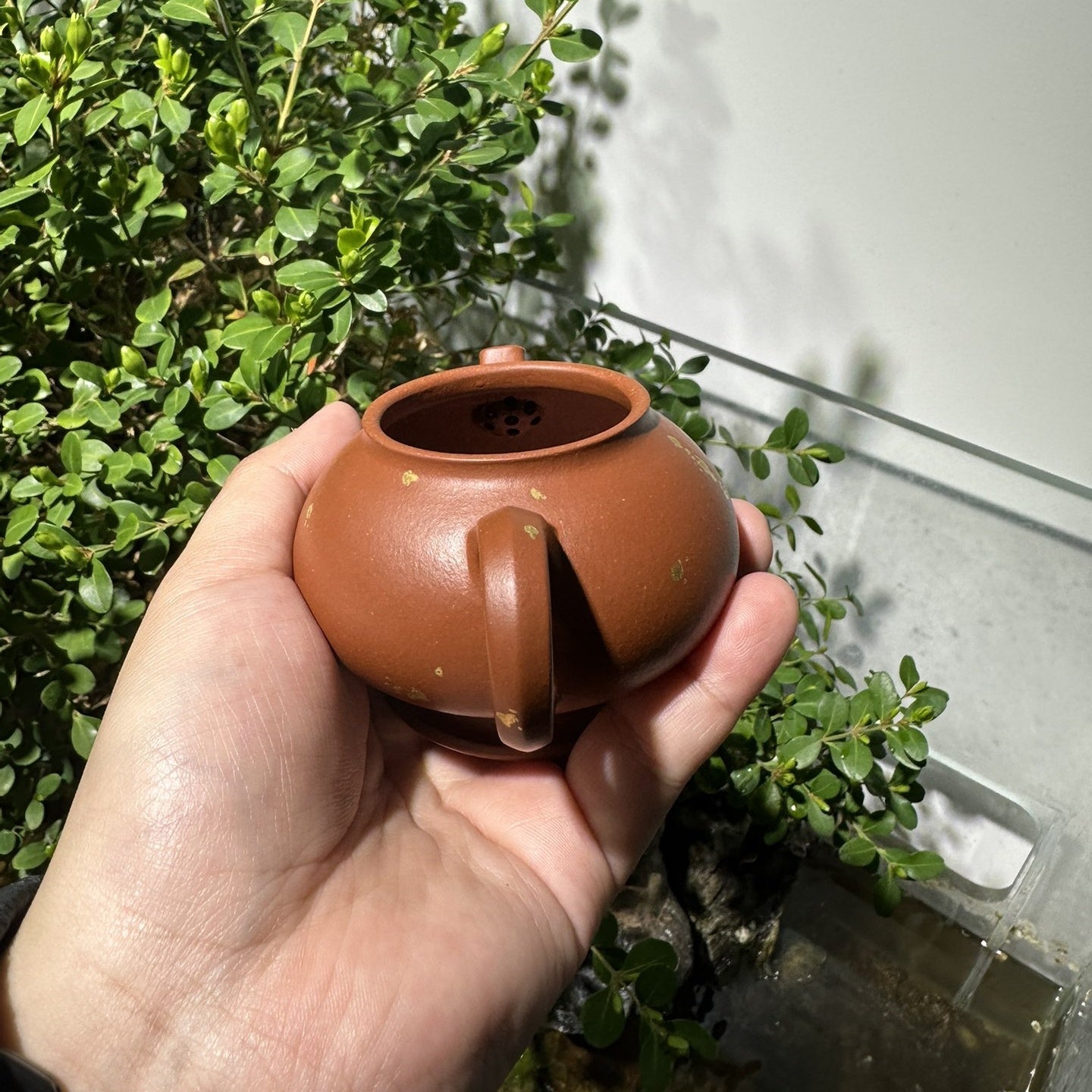 An Lai 150cc - Yixing Handmade Teapot 江苏宜兴