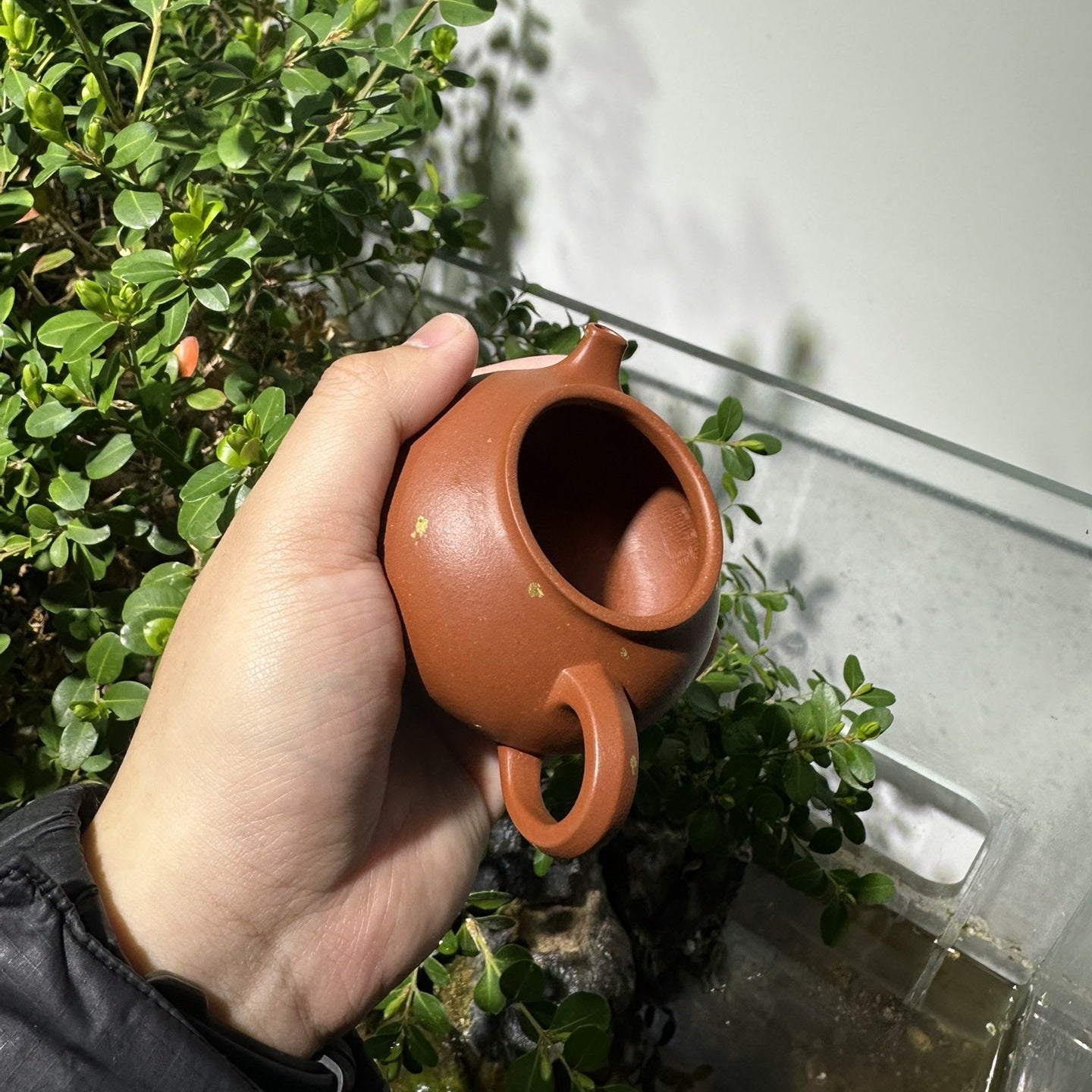 An Lai 150cc - Yixing Handmade Teapot 江苏宜兴
