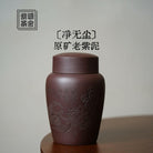Jing Wu Chen - Yixing Handmade Zisha Teacan zycschina