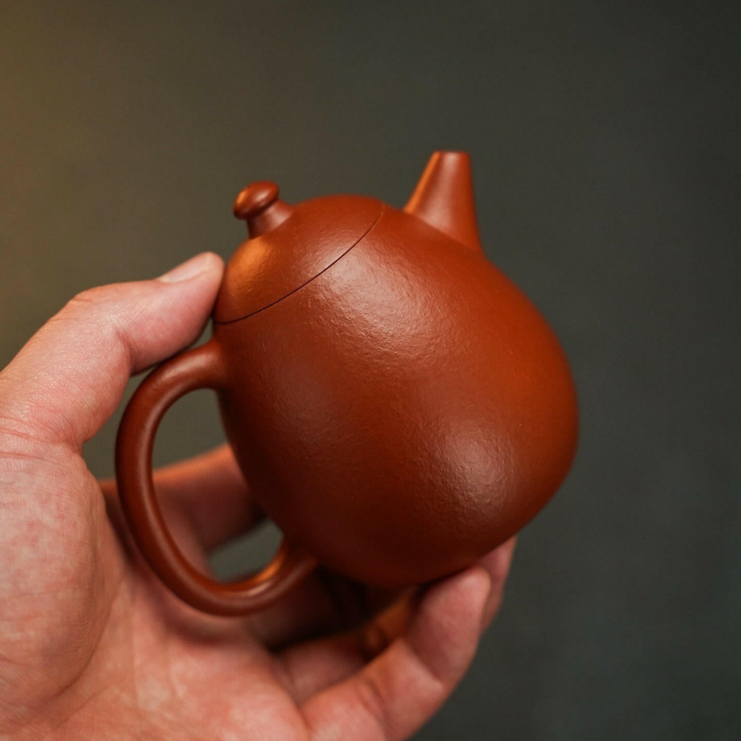 Long Dan 200cc - Yixing Handmade Teapot 江苏宜兴