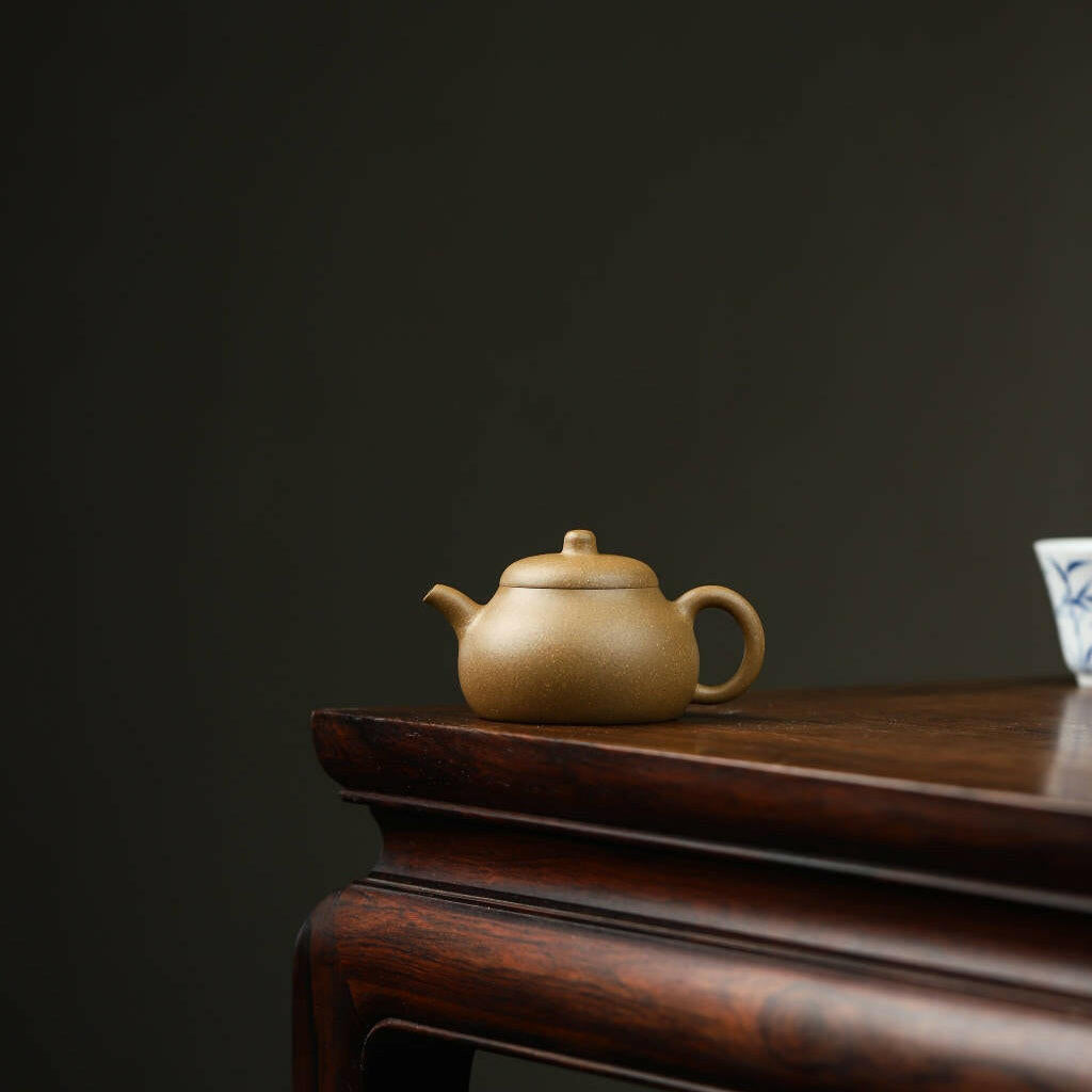 Shi Yuan 100cc - Yixing Handmade Teapot 江苏宜兴