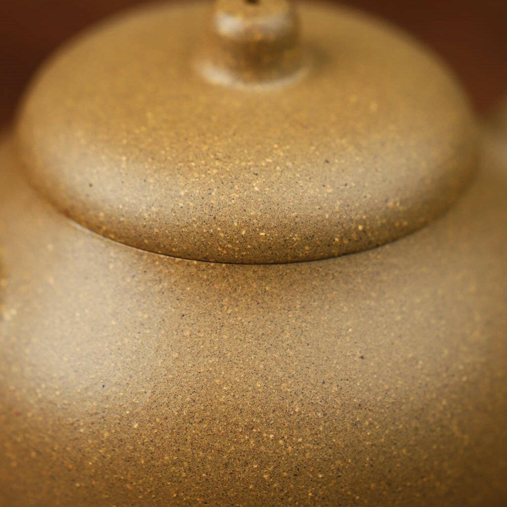 Shi Yuan 100cc - Yixing Handmade Teapot 江苏宜兴