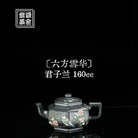 Liu Fang Xue Hua 160cc - Yixing Handmade Teapot 江苏宜兴