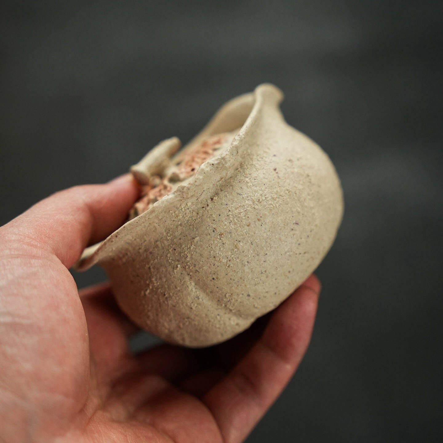 Shi Shi Ru Yi 180cc - Yixing Handmade Teapot 江苏宜兴
