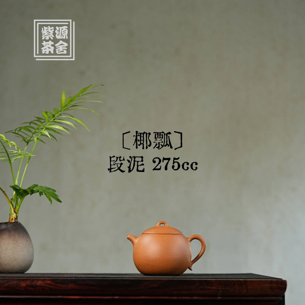 Ye Piao 275cc - Yixing Handmade Teapot 江苏宜兴