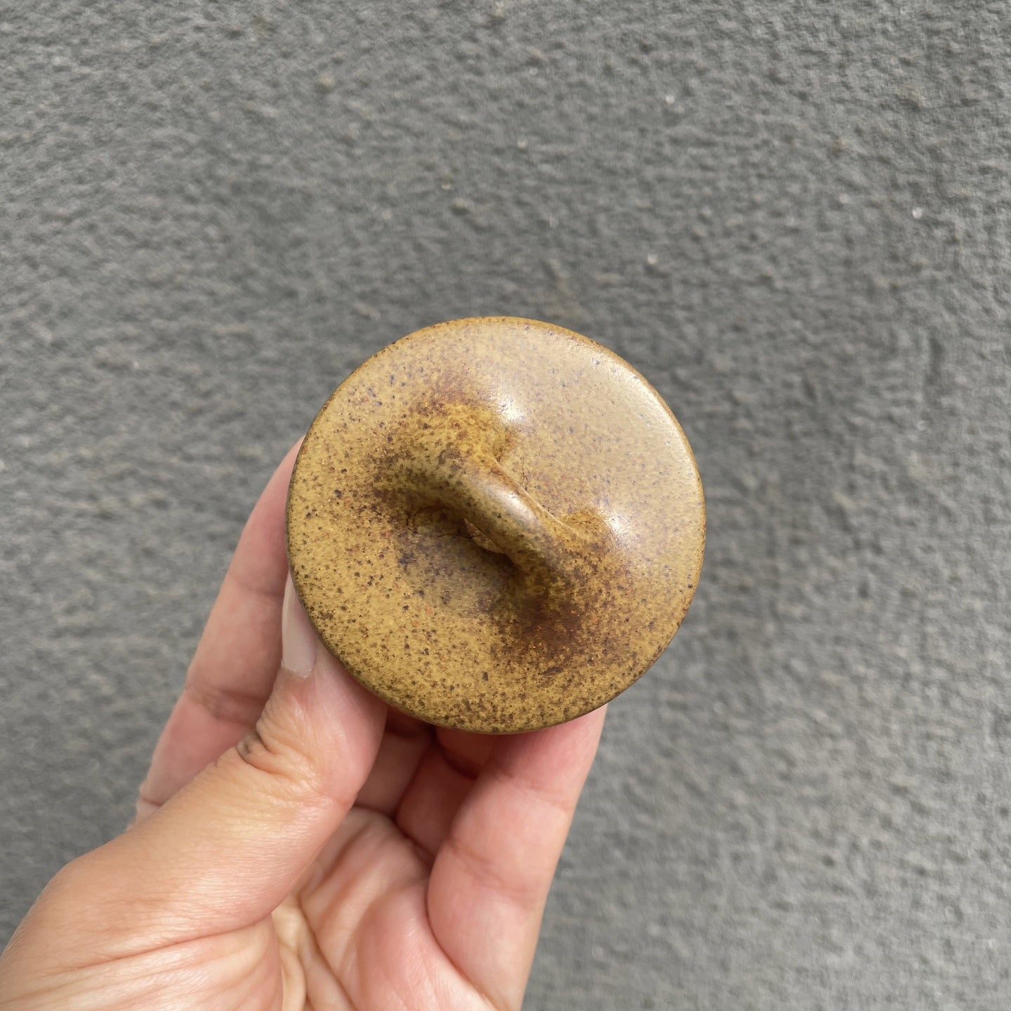 Gao Shi Piao 200cc - Yixing Handmade Teapot 江苏宜兴