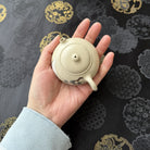 Xiao Xiao Xi Shi 80cc - Yixing Handmade Teapot 江苏宜兴